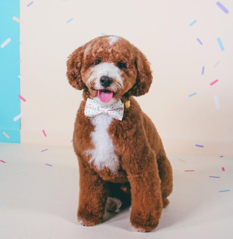 SnapInsta.to 301179450 831254371615590 2699666118825903080 n